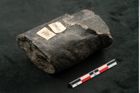 Foto (Seitenansicht) von Calamites communis Ettingshausen (NHMW-GEO-2024-0188-10965)